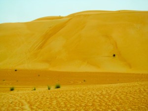 The first 3 or 4 hours of dunes are interesting ...