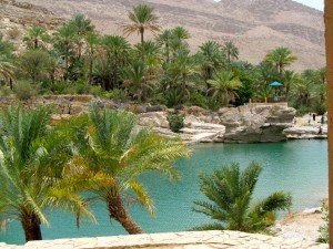 An oasis!