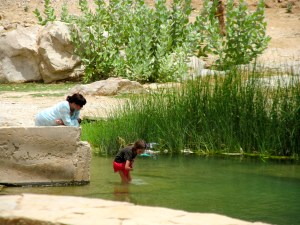 Cooling off. Lots of fish and frogs.